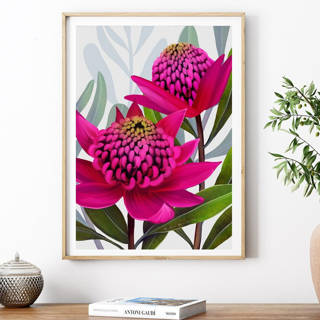 Beacon of the Bush – Pink Waratah Australian Botanical Digital Art Print