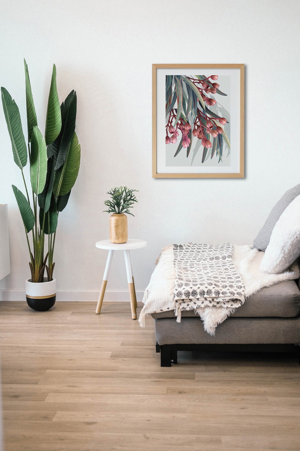 Boroondara 1 Eucalyptus – Australian Gum Tree Botanical Art Print