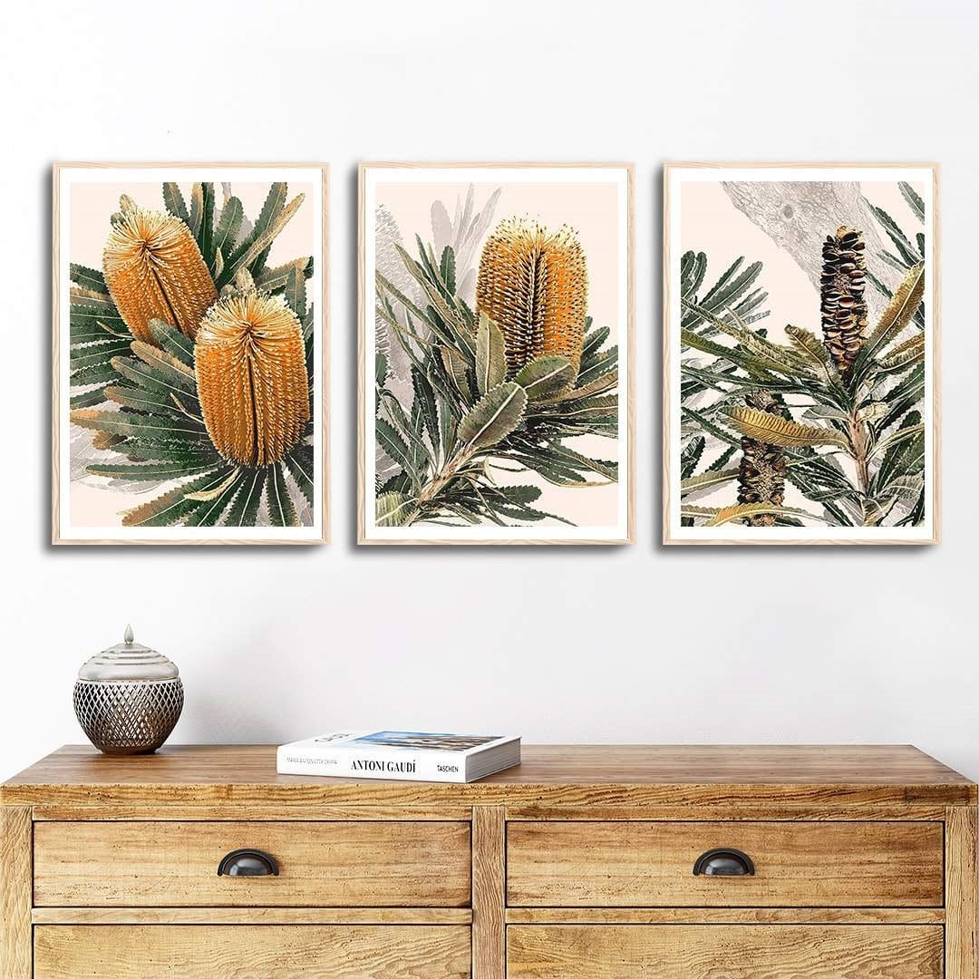 Australian Banksia Botanical Prints – Set of 3 Digital Art Downloads