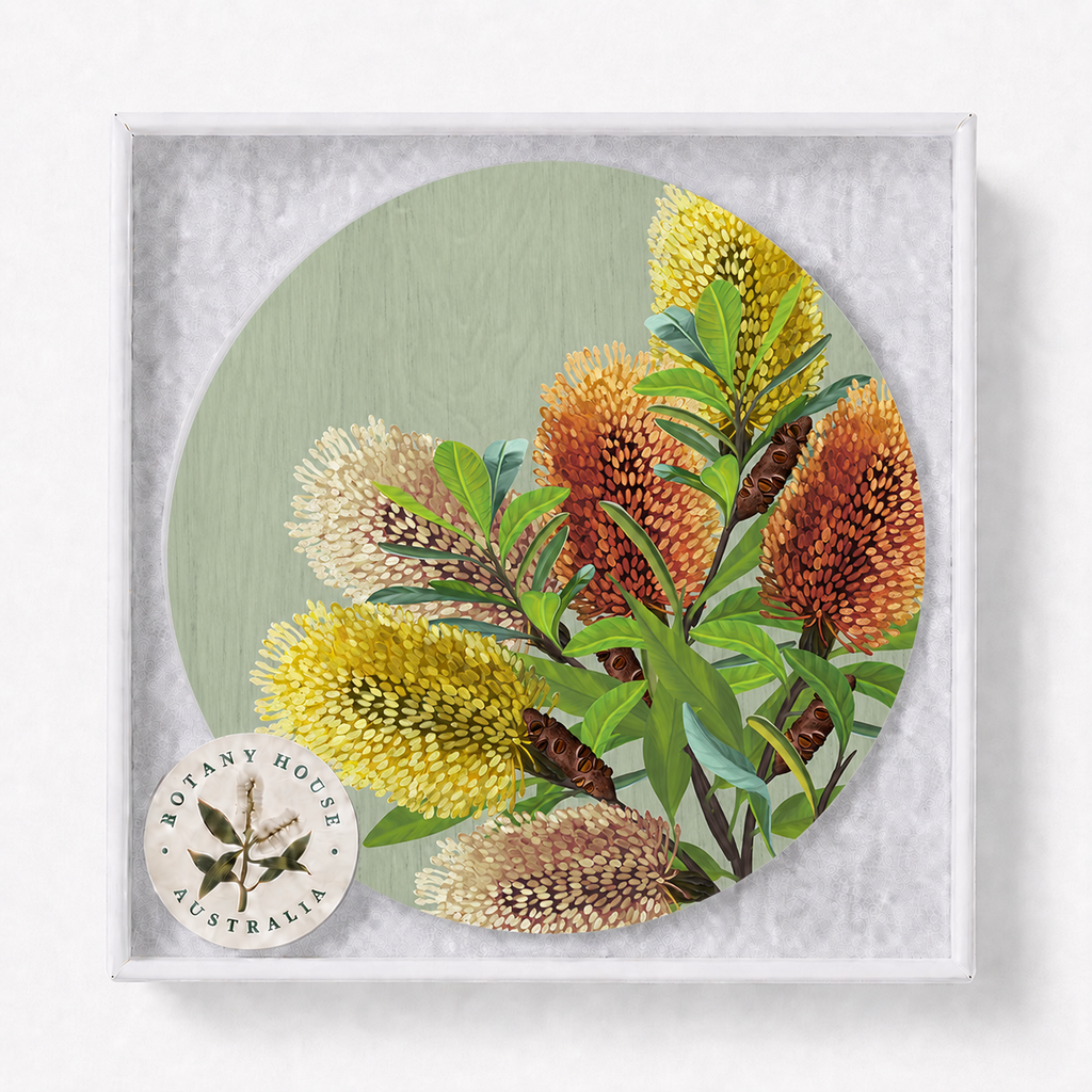 Saltbush Australian Banksia Coaster