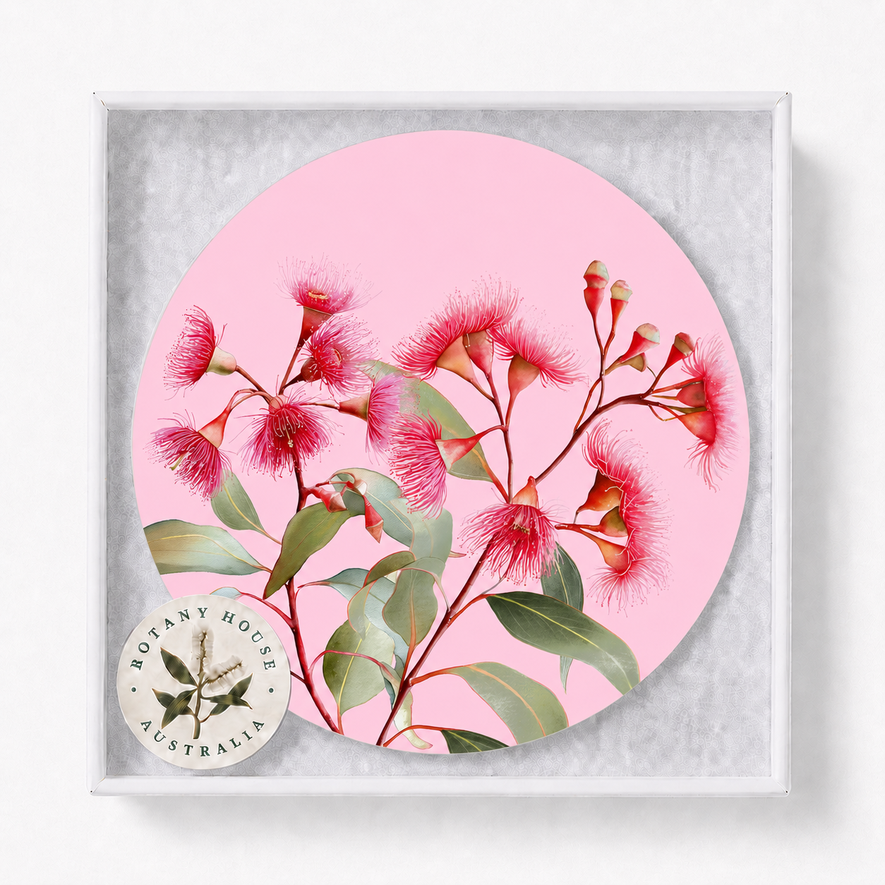 Pink Gum Australian Floral Coaster
