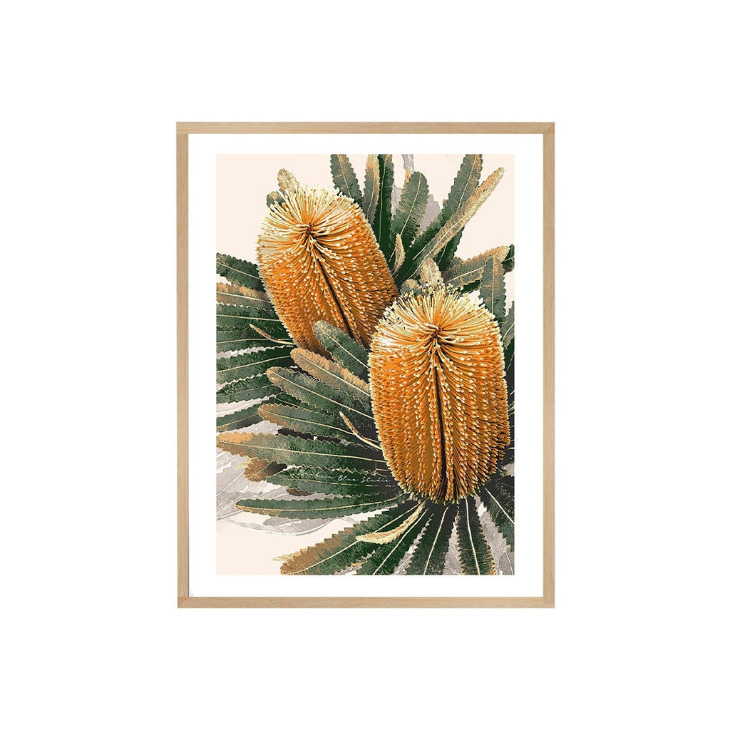 Golden Banksia – Australian Botanical Digital Art Print