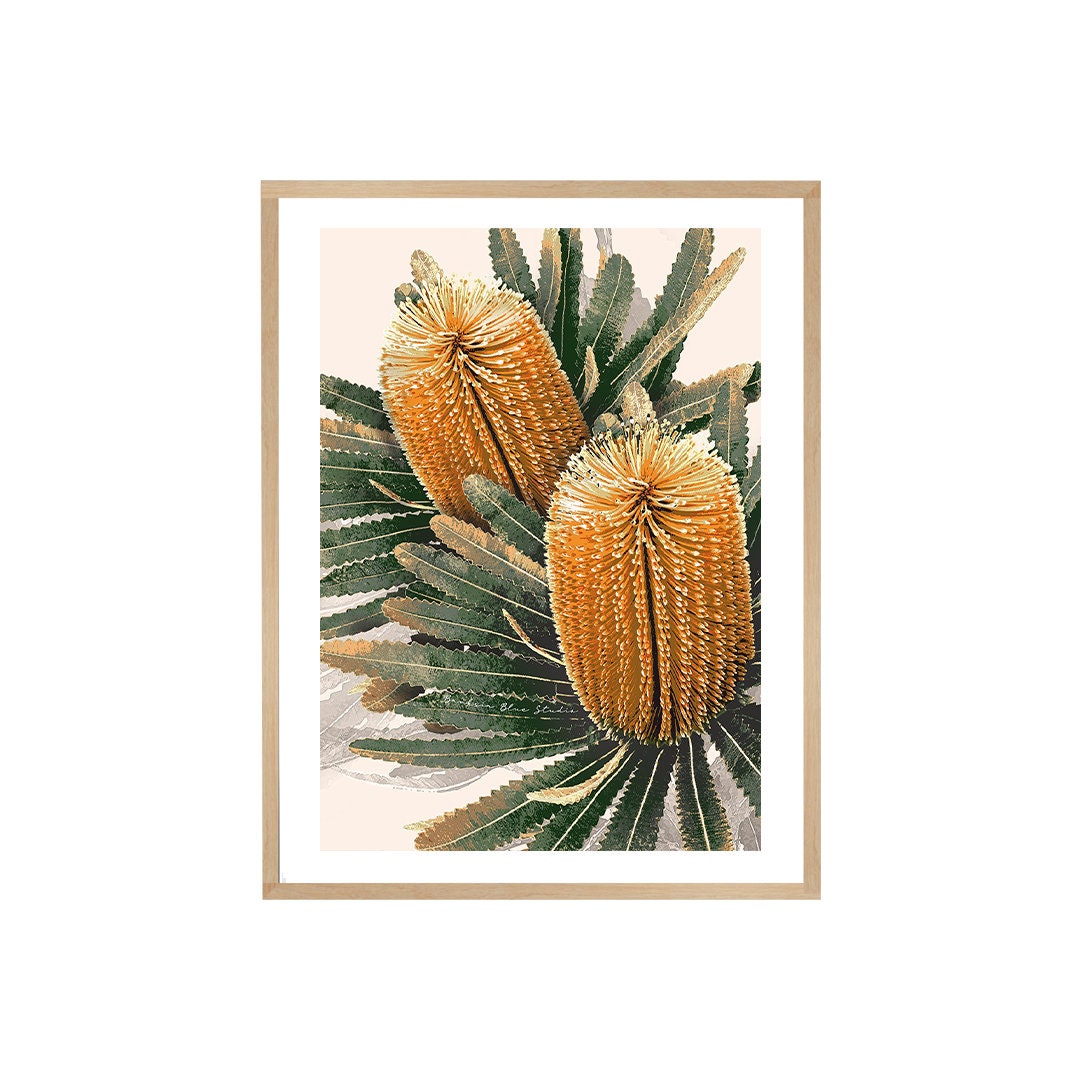 Golden Banksia – Australian Botanical Digital Art Print