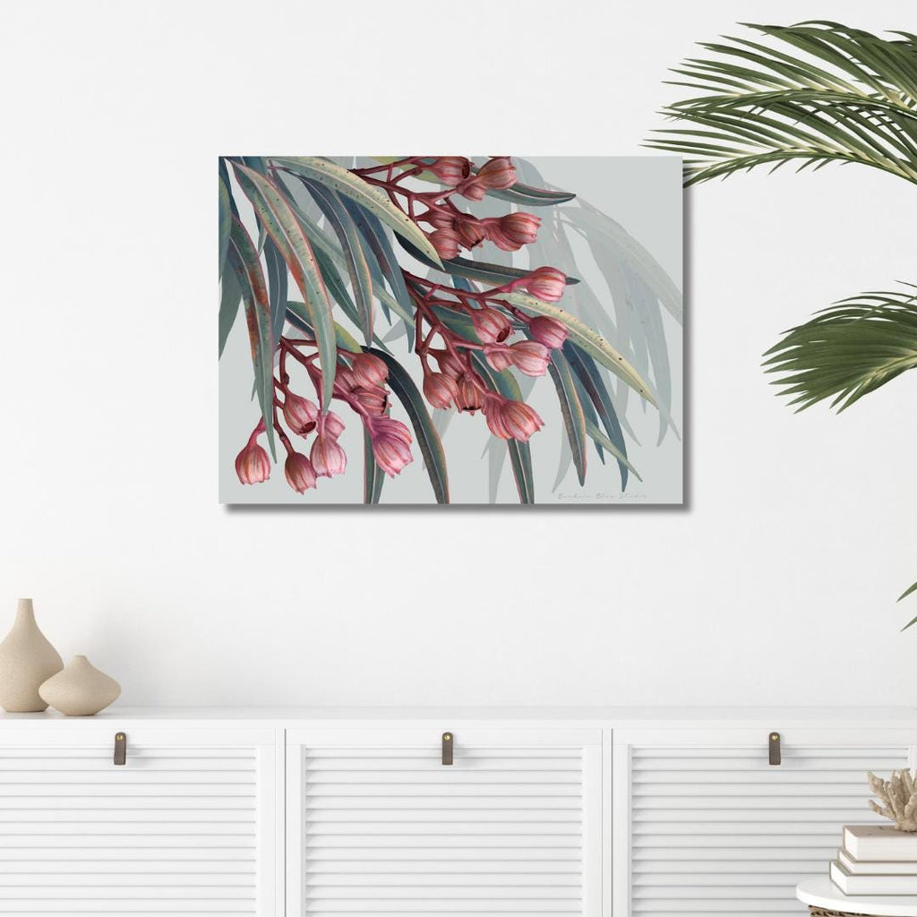 Boroondarra 1 – Blush Eucalyptus Australian Botanical Digital Print