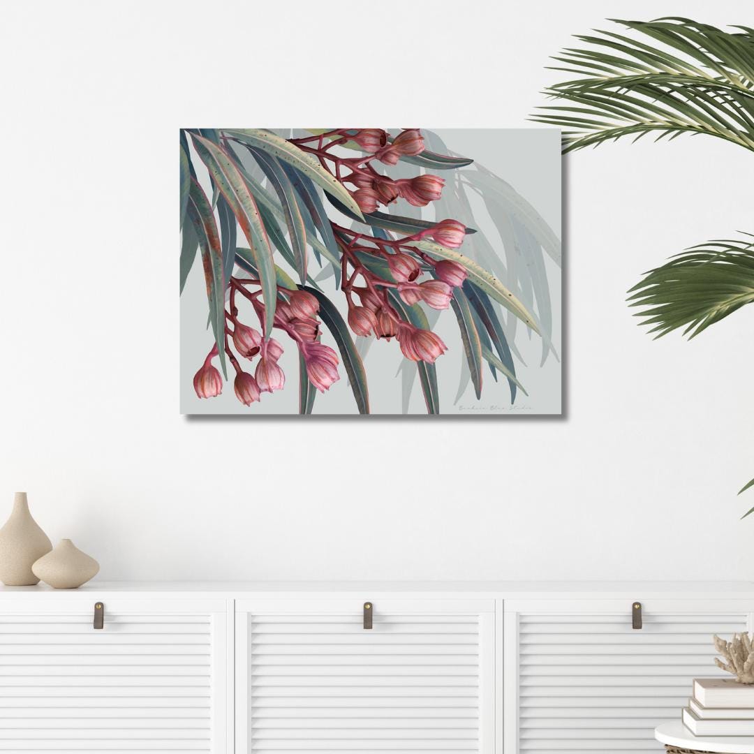 Boroondarra 1 – Blush Eucalyptus Australian Botanical Digital Print