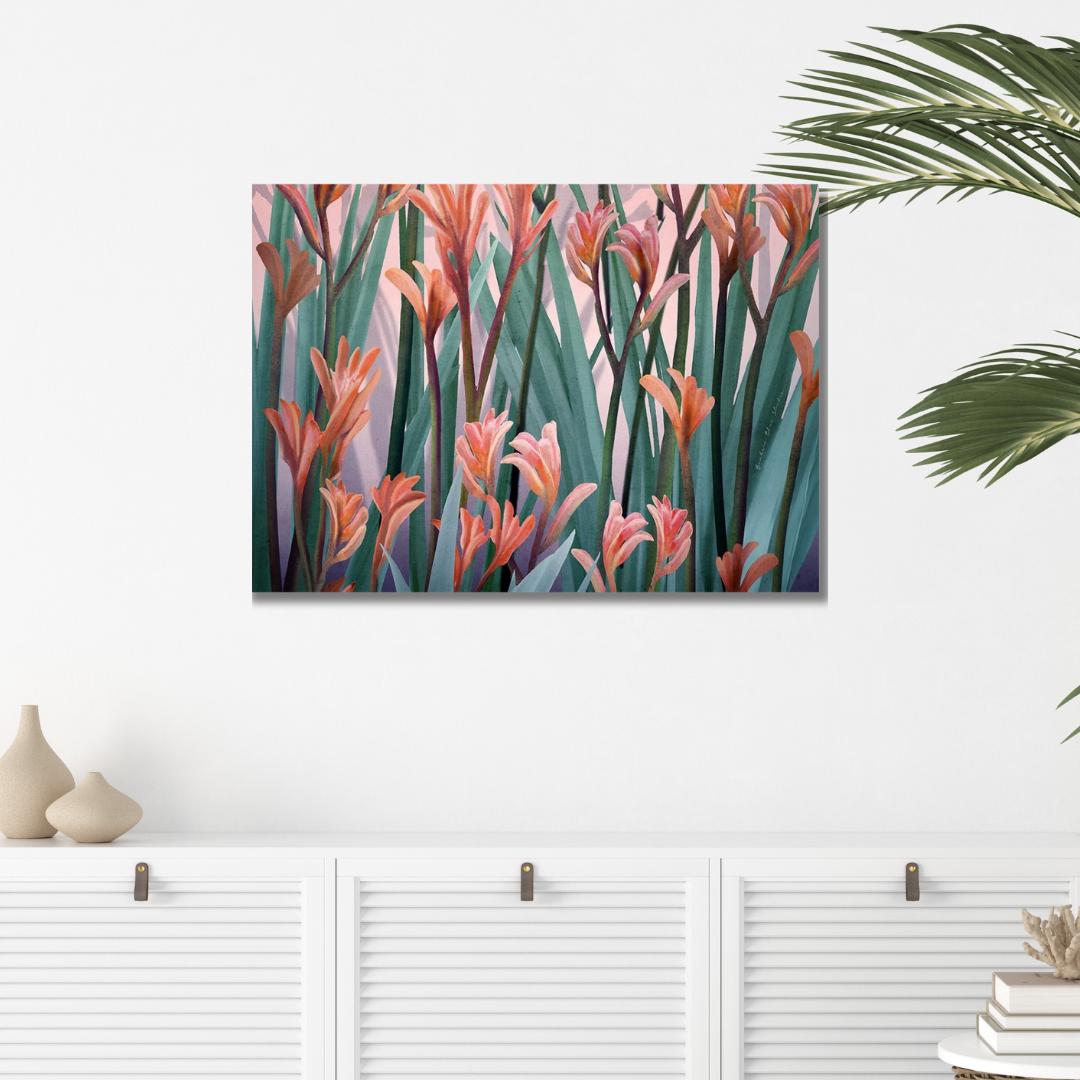 Blushing Kangaroo Paw – Australian Native Botanical Art Print