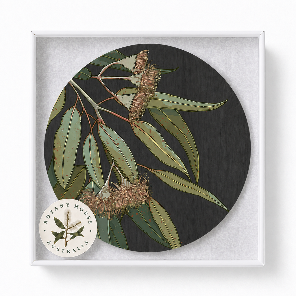 Hanging Eucalyptus Australian Floral Coaster
