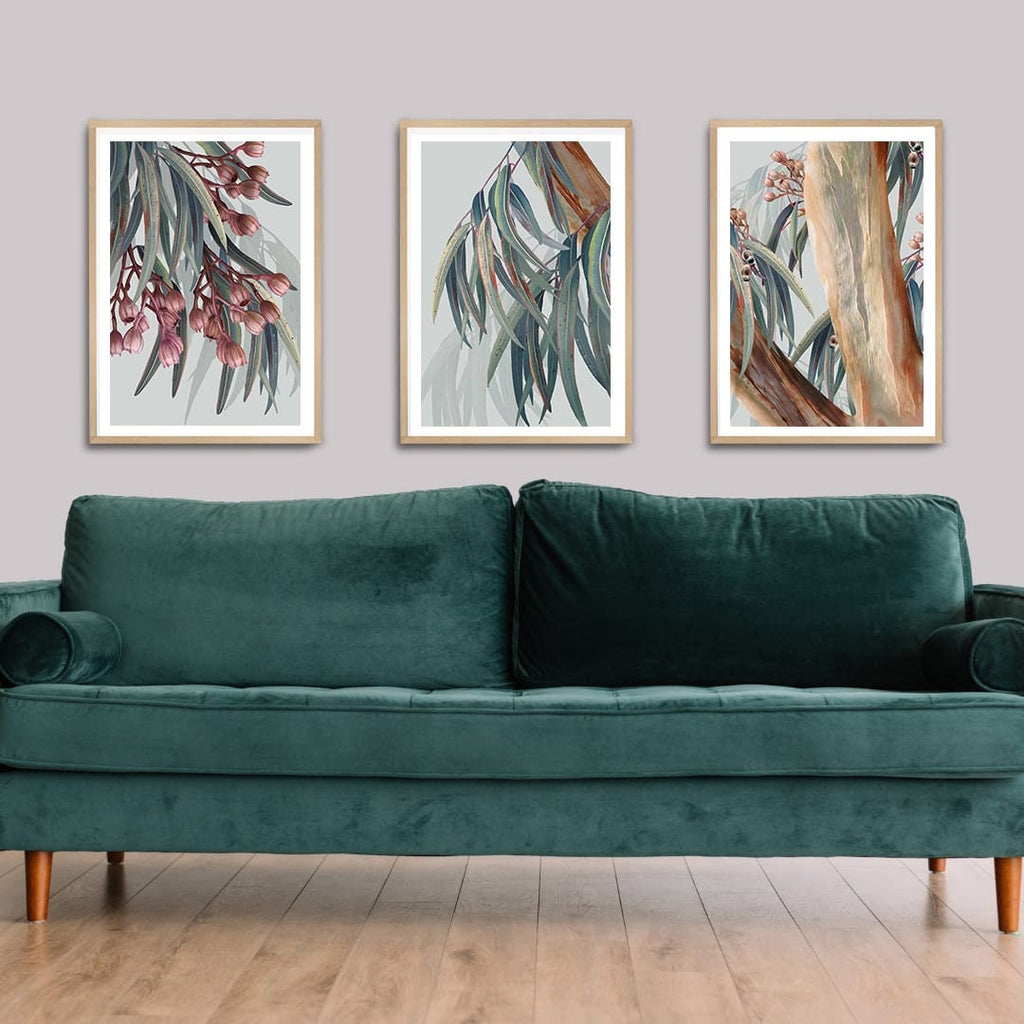 Eucalyptus Trilogy – Set of 3 Australian Botanical Digital Art Prints
