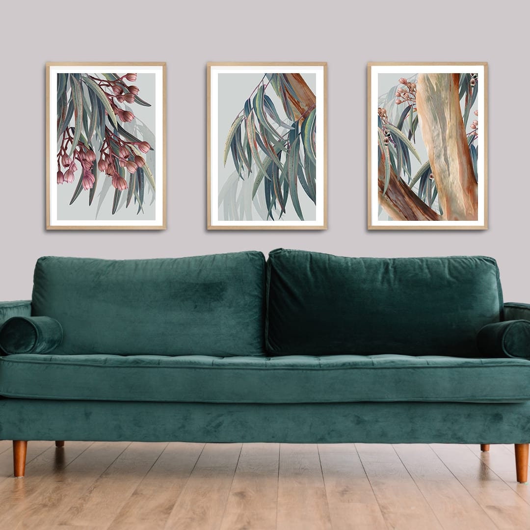 Eucalyptus Trilogy – Set of 3 Australian Botanical Digital Art Prints