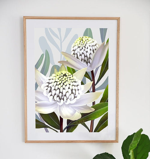 Beacon of the bush - Australian Waratah Botanical Art Print