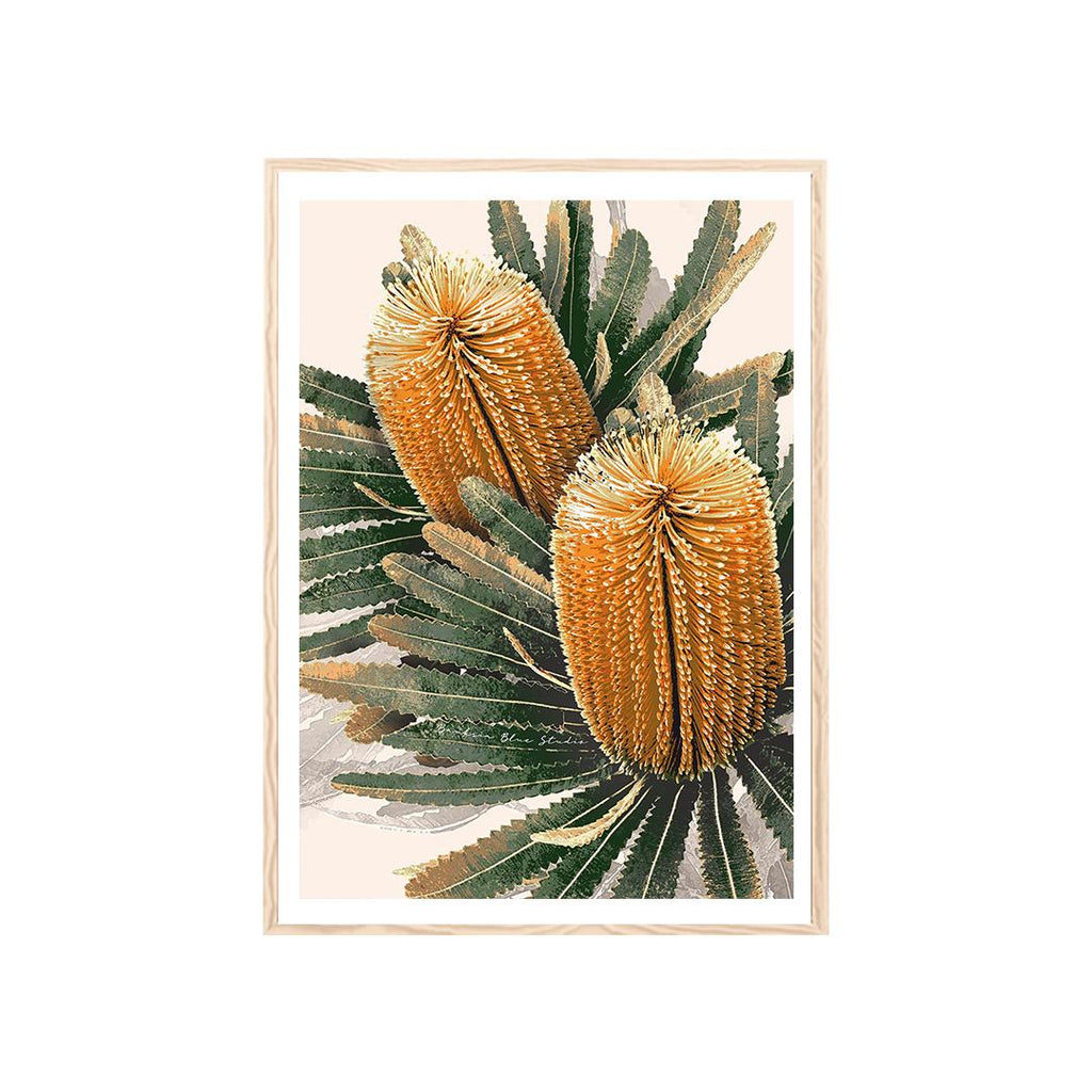Australian Banksia Botanical Prints – Set of 3 Digital Art Downloads