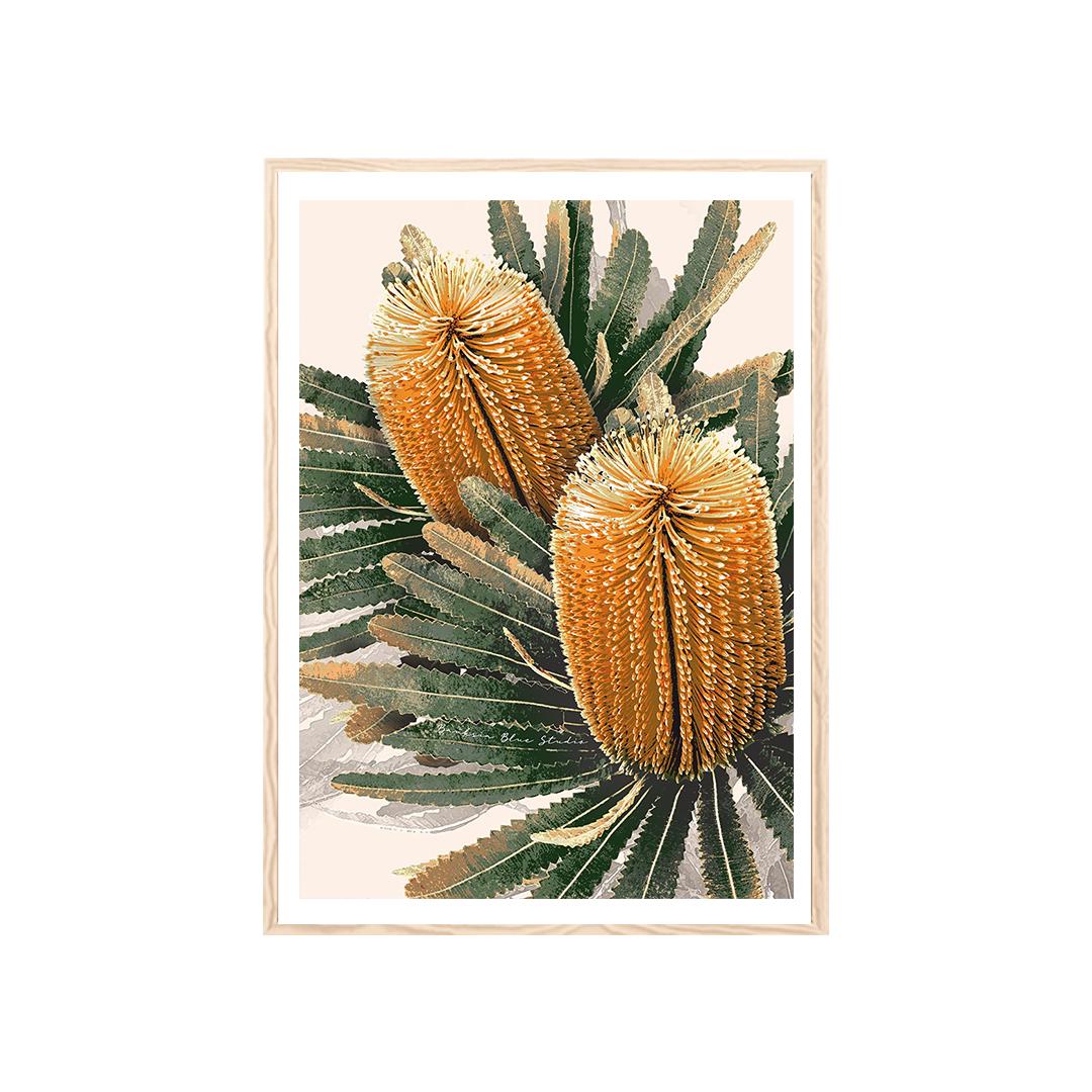 Australian Banksia Botanical Prints – Set of 3 Digital Art Downloads
