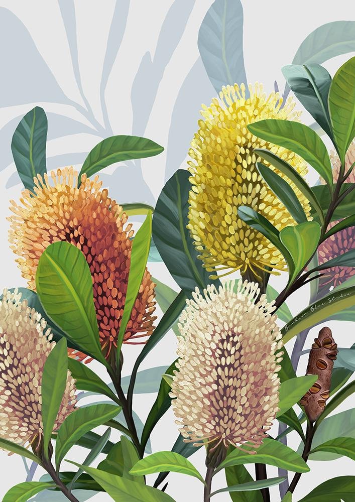 Saltbush – Australian Banksia Botanical Digital Art Print