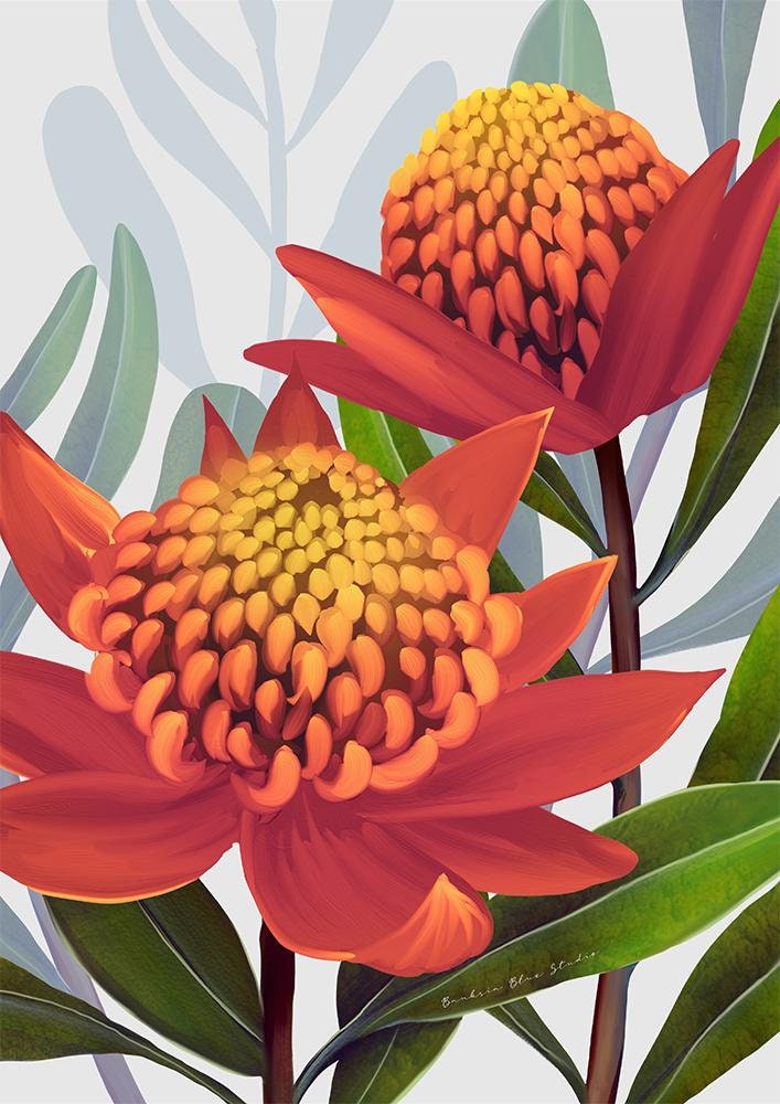 Beacon of the Bush – Tangerine Waratah Australian Botanical Digital Art Print