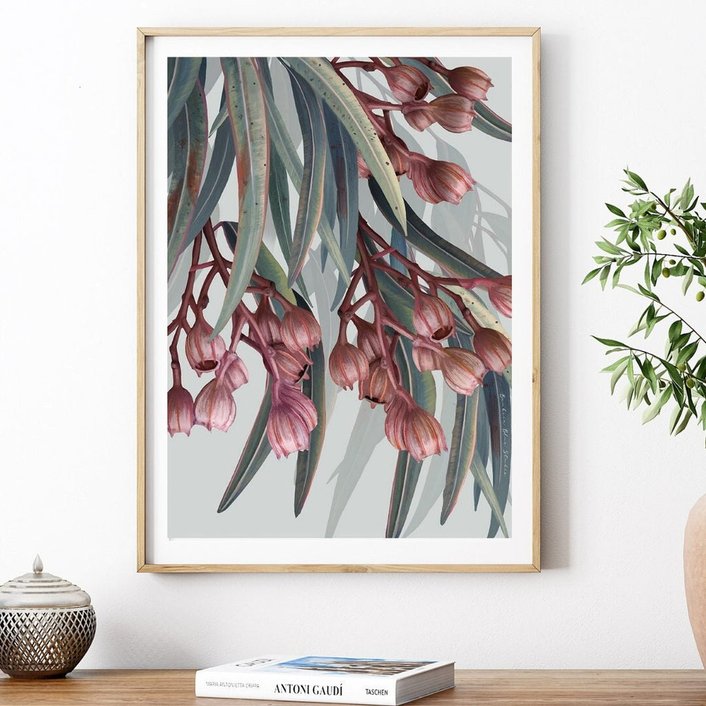 Boroondara 1 Eucalyptus – Australian Gum Tree Botanical Art Print