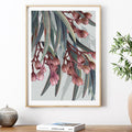 Boroondara 1 Eucalyptus – Australian Gum Tree Botanical Art Print