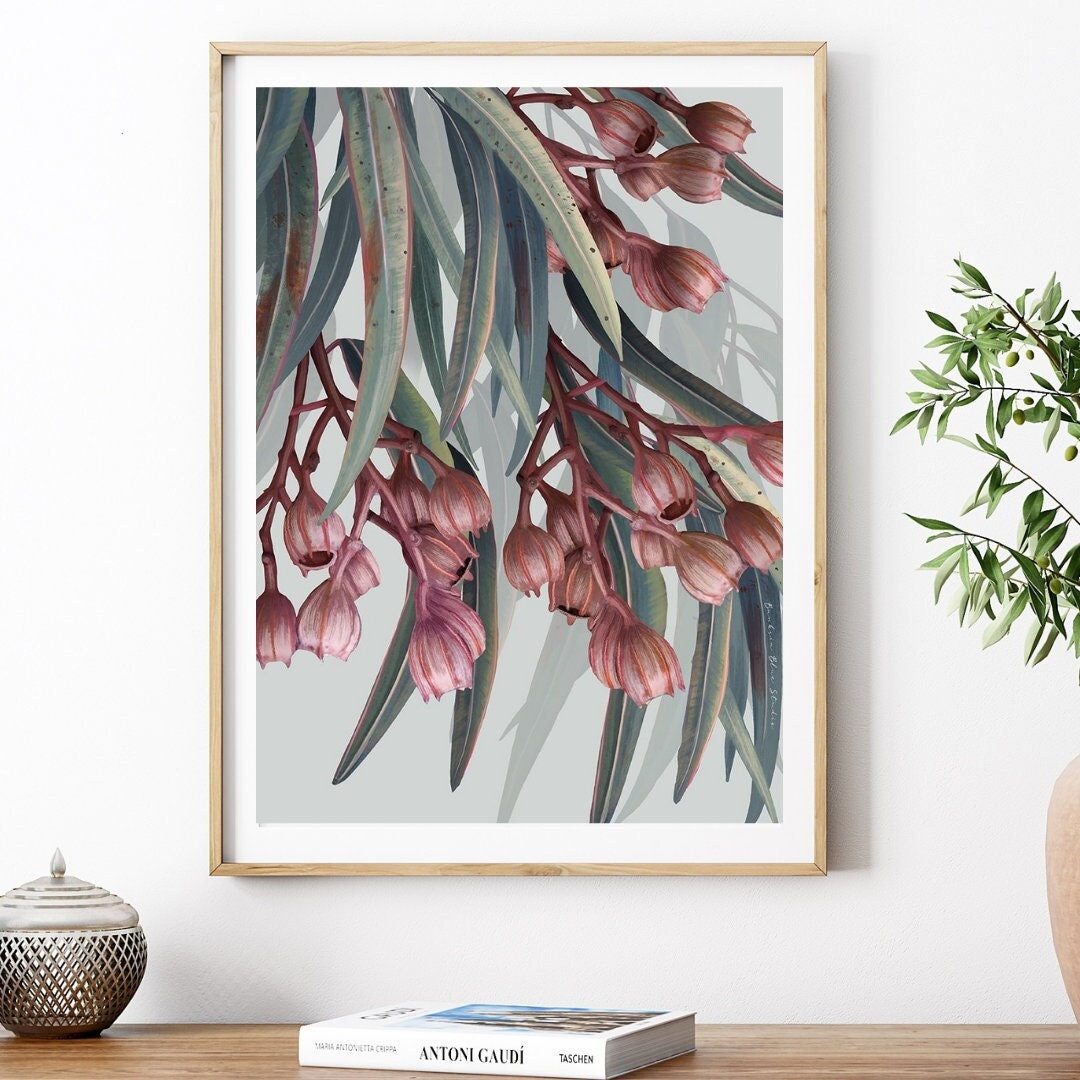 Boroondara 1 Eucalyptus – Australian Gum Tree Botanical Art Print