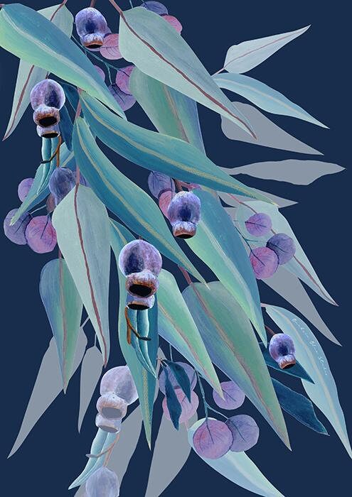 Jarrah Dreaming – Australian Eucalyptus and Gumnut Botanical Digital Art Print
