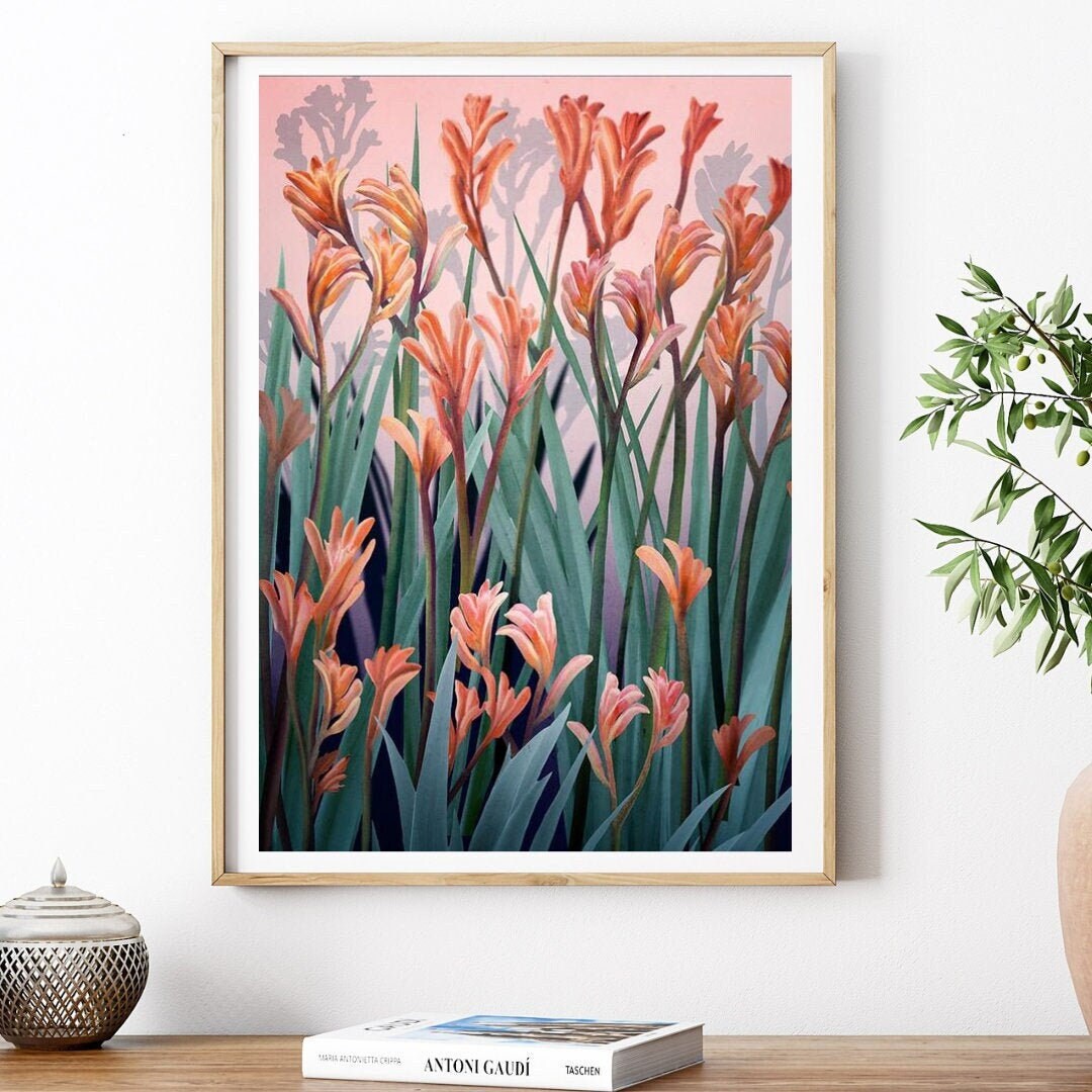 Wild of Spirit – Australian Kangaroo Paw Botanical Digital Art Print