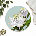 White Waratah Australian Native Round Placemats – Set of 4,6 or 8