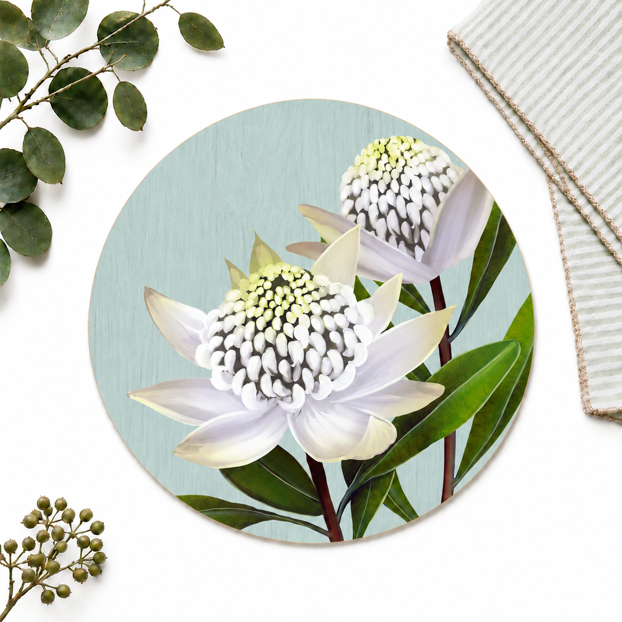 White Waratah Australian Native Round Placemats – Set of 4,6 or 8