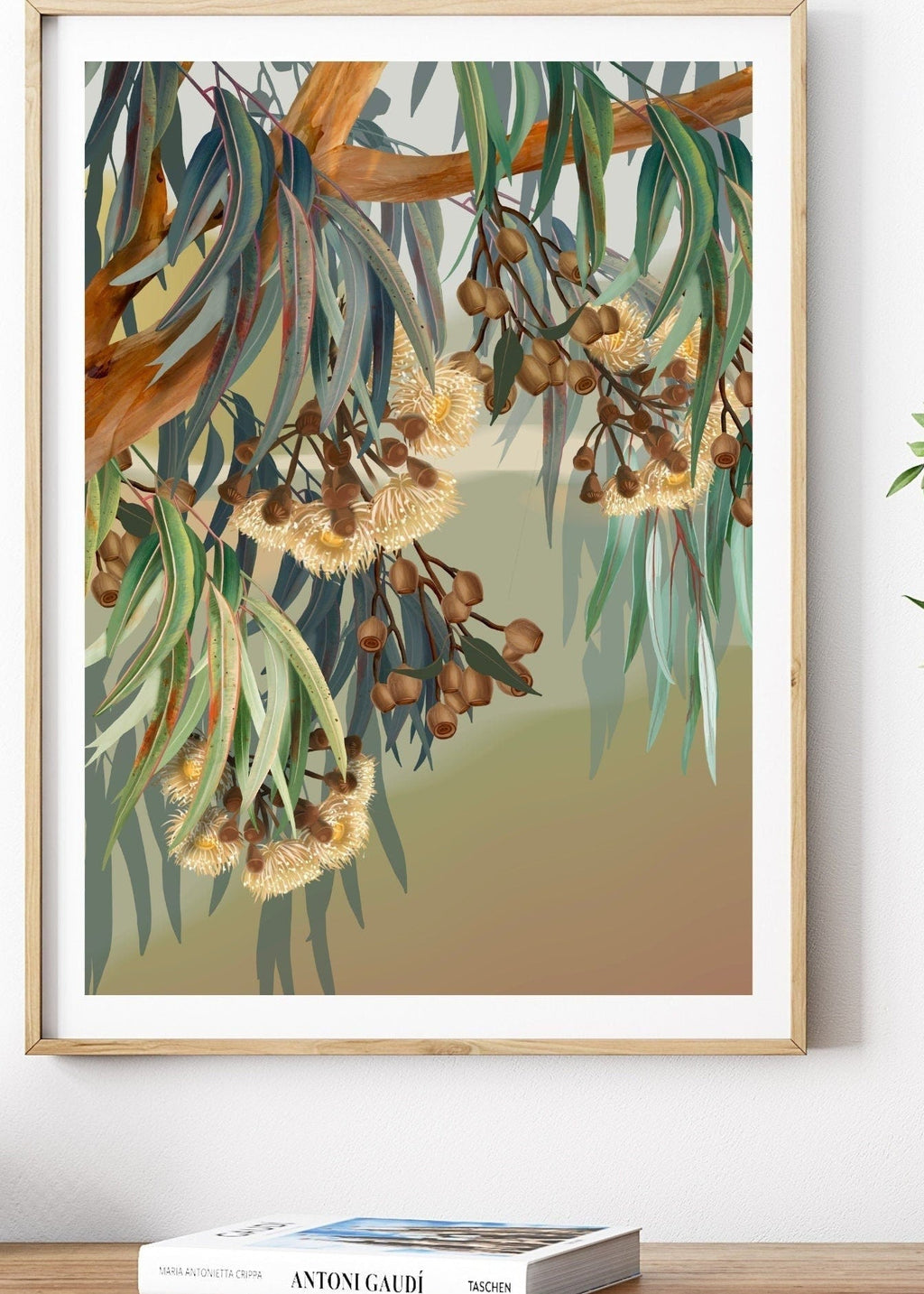 Yallaroo Eucalyptus Native Flower Digital Art Prints