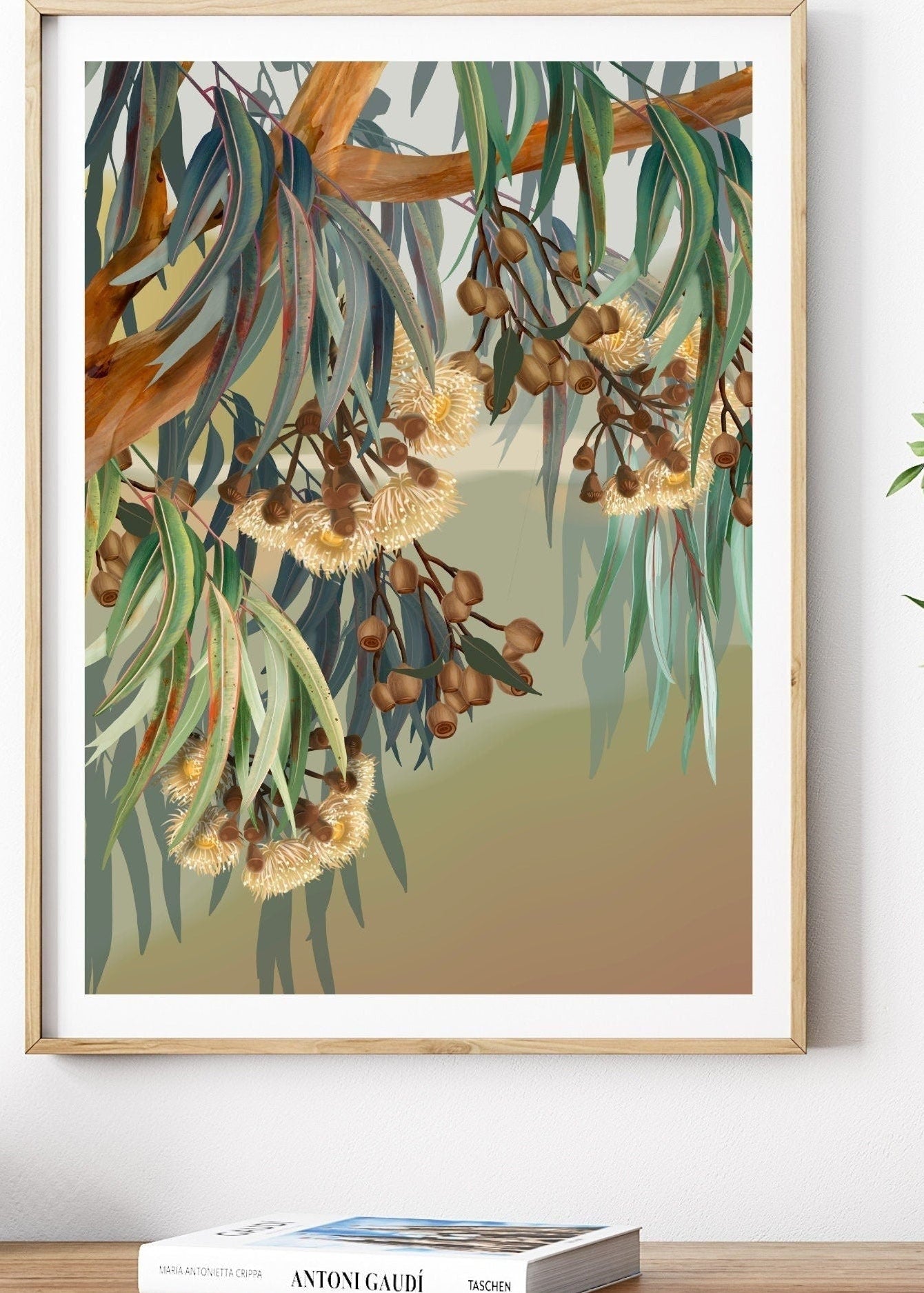 Yallaroo Eucalyptus Native Flower Digital Art Prints