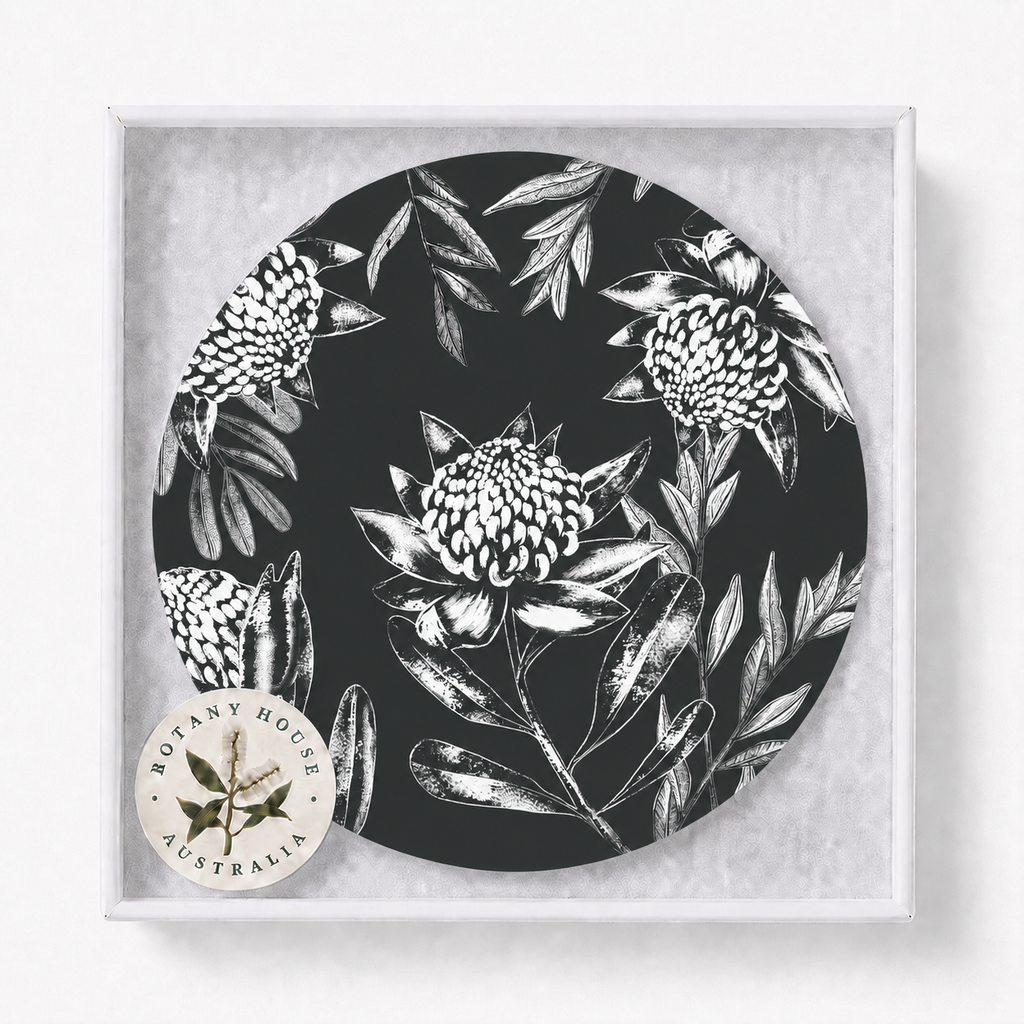 Midnight Waratah Australian Floral Coaster