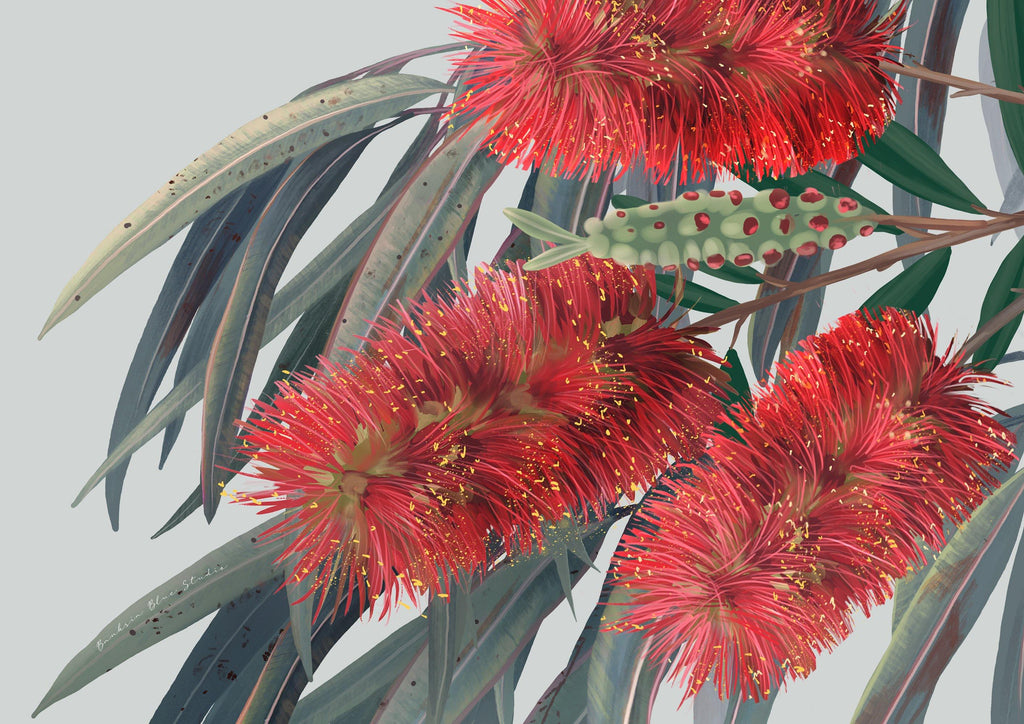 Carinya – Australian Red Flowering Gum Landscape Digital Art Print